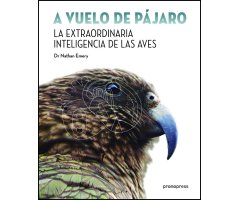 A VUELO DE PÁJARO. LA EXTRAORDINARIA INTELIGENCIA DE LAS AVES