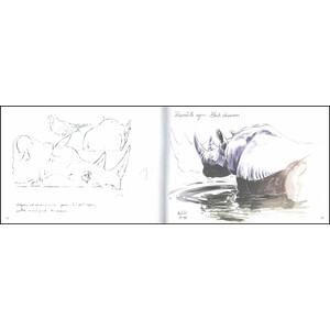 ETOSHA. NAMIBIA. DIBUJANDO LA NATURALEZA AFRICANA 3