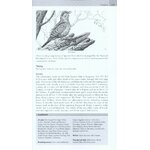 WHERE TO WATCH BIRDS IN NORTHERN & EASTERN SPAIN 5