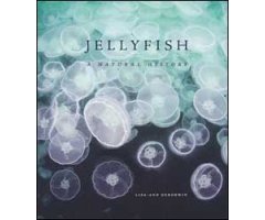 JELLYFISH A NATURAL HISTORY