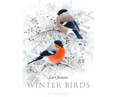 WINTER BIRDS