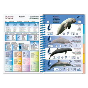 MARINE PICTOLIFE. ASIAN PACIFIC_1