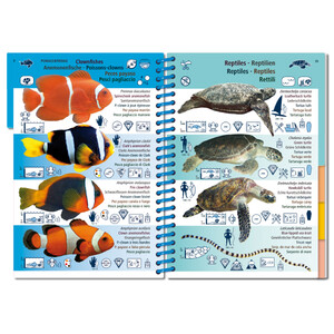 MARINE PICTOLIFE. ASIAN PACIFIC 3