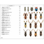 PHYTOPHAGOUS BEETLES OF EUROPE. VOLUME 1- BUPRESTIDAE, ELATERIDAE, CLERIDAE, CERAMBYCIDAE_1