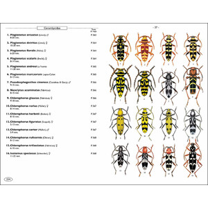 PHYTOPHAGOUS BEETLES OF EUROPE. VOLUME 1- BUPRESTIDAE, ELATERIDAE, CLERIDAE, CERAMBYCIDAE 3