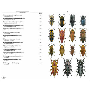 PHYTOPHAGOUS BEETLES OF EUROPE. VOLUME 1- BUPRESTIDAE, ELATERIDAE, CLERIDAE, CERAMBYCIDAE 4