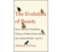 THE EVOLUTION OF BEAUTY