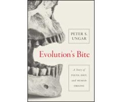 EVOLUTION'S BITE. A STORY OF TEETH, DIET, AND HUMAN ORIGINS