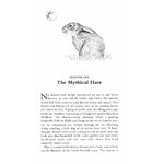 THE WAY OF THE HARE_1