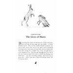THE WAY OF THE HARE 3