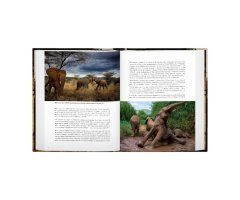 A WILD LIFE. A VISUAL BIOGRAPHY OF PHOTOGRAPHER MICHAEL NICHOLS 3
