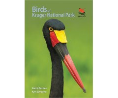 BIRDS OF KRUGER NATIONAL PARK