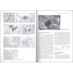 BIOLOGY AND CONSERVATION OF MUSTELOIDS_1