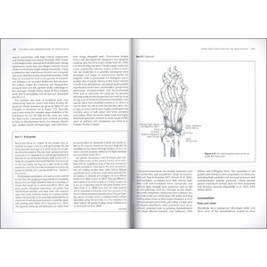 BIOLOGY AND CONSERVATION OF MUSTELOIDS 3
