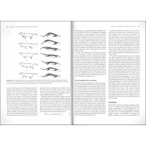 BIOLOGY AND CONSERVATION OF MUSTELOIDS 4