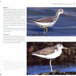 WADERS OF EUROPE. A PHOTOGRAPHIC GUIDE 5