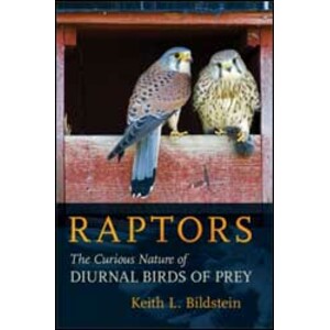 RAPTORS. THE CURIOUS NATURE OF DIURNAL BIRDS OF PREY