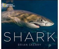 SHARK