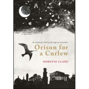 ORISON FOR A CURLEW