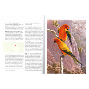 VANISHED AND VANISHING PARROTS. PROFILING EXTINCT AND ENDANGERED SPECIES 3