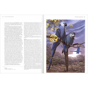 VANISHED AND VANISHING PARROTS. PROFILING EXTINCT AND ENDANGERED SPECIES 4