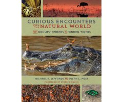 CURIOUS ENCOUNTERS WITH THE NATURAL WORLD. FROM GRUMPY SPIDERS TO HIDDEN TIGERS