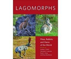 LAGOMORPHS: PIKAS, RABBITS, AND HARES OF THE WORLD