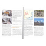 LAGOMORPHS: PIKAS, RABBITS, AND HARES OF THE WORLD_1