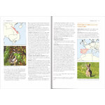 LAGOMORPHS: PIKAS, RABBITS, AND HARES OF THE WORLD 3