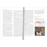 LAGOMORPHS: PIKAS, RABBITS, AND HARES OF THE WORLD 4