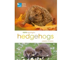 RSPB SPOTLIGHT: HEDGEHOGS