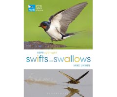 RSPB SPOTLIGHT: SWIFTS AND SWALLOWS