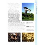 RSPB SPOTLIGHT: SWIFTS AND SWALLOWS 4