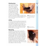 RSPB SPOTLIGHT: SWIFTS AND SWALLOWS 5