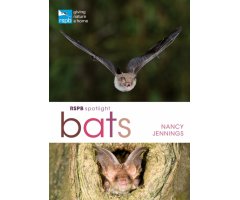 RSPB SPOTLIGHT: BATS