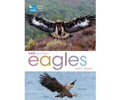 RSPB SPOTLIGHT: EAGLES