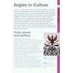 RSPB SPOTLIGHT: EAGLES 4