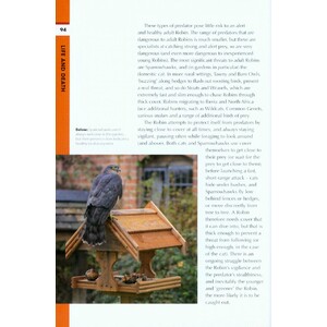 RSPB SPOTLIGHT: ROBINS 5