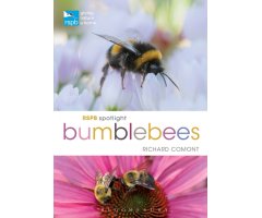 RSPB SPOTLIGHT: BUMBLEBEES