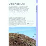 RSPB SPOTLIGHT: PUFFINS_1