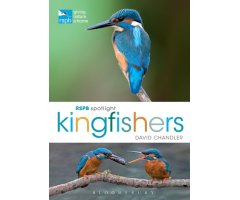 RSPB SPOTLIGHT: KINGFISHERS
