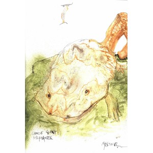 CRITICAL CRITTERS WITH BEASTLY SNEERS AND CALLOUS OBSERVATIONS 5