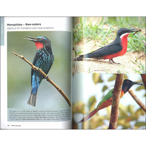 THE BIRDER'S GUIDE TO AFRICA 4