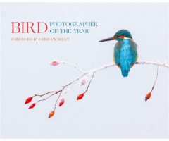 BIRD PHOTOGRAPHER OF THE YEAR. COLLECTION 2
