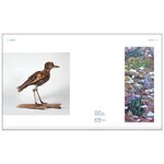 FLIGHT LINES. TRACKING THE WONDERS OF BIRD MIGRATION 5