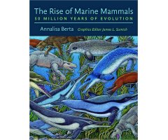 THE RISE OF MARINE MAMMALS: 50 MILLION YEARS EVOLUTION
