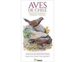 AVES DE CHILE. SUS ISLAS OCEÁNICAS Y PENÍNSULA ANTÁRTICA. UNA GUÍA DE CAMPO ILUSTRADA