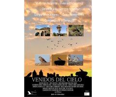 DVD VENIDOS DEL CIELO