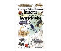 MI PRIMERA GUÍA DE CAMPO DE INSECTOS Y OTROS INVERTEBRADOS