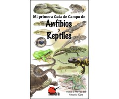 MI PRIMERA GUÍA DE CAMPO DE ANFIBIOS Y REPTILES